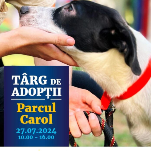 Târg de adopții de câini în Parcul Carol