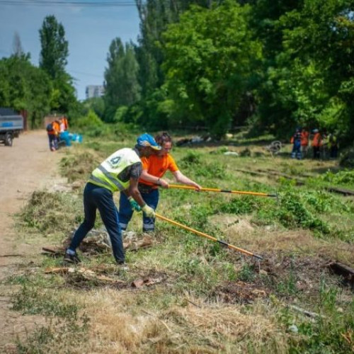 Sapte din zece bucuresteni vor un oras mai verde