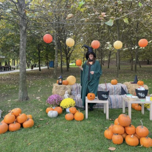 Festivalul dovlecilor, o sărbătoare pentru toate vârstele, în Parcul Titan