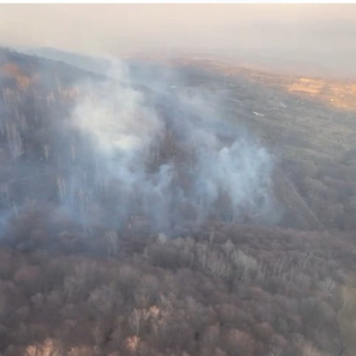 Incendiile de vegetatie din sapte judete provoaca primele victime