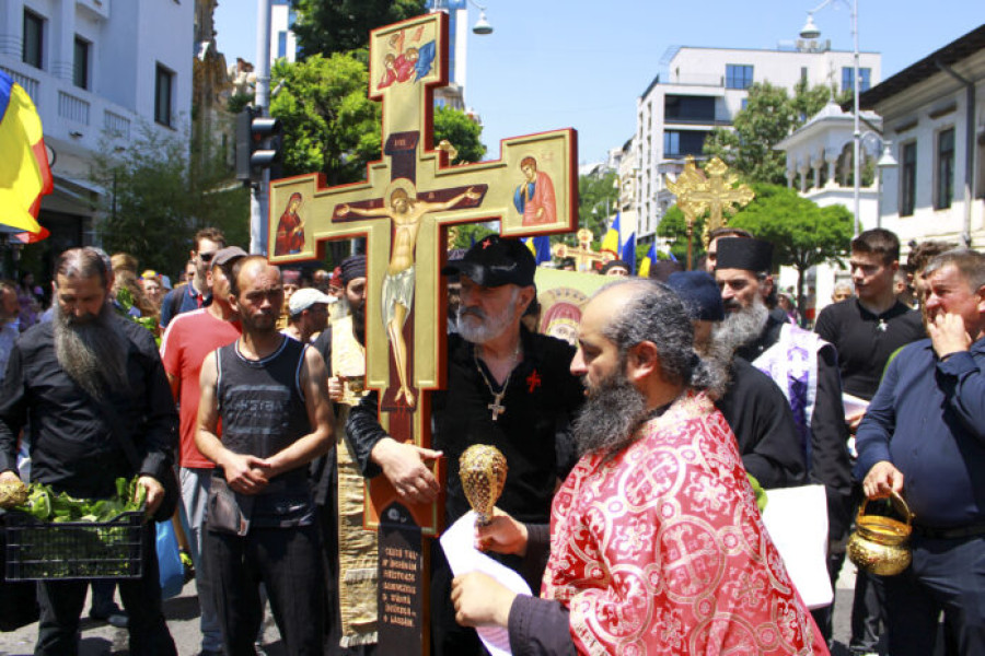 Image Description