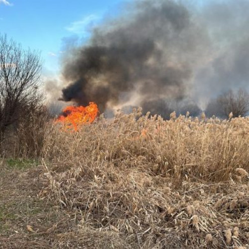 Administraţia Parcului Natural Văcăreşti îşi revizuieşte protocoalele de intervenţie în caz de incendii după evenimentul din 8 februarie