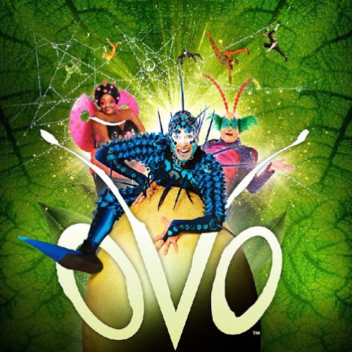 Cirque du Soleil aduce spectacolul "OVO" la Bucureşti în acest an: când să îl vezi?