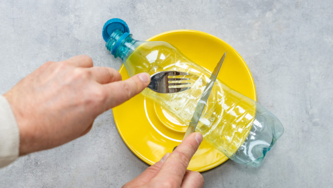 Microplasticele, chiar și în oasele umane, și impactul lor asupra sănătății