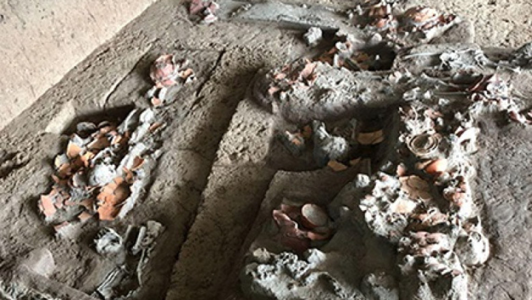Cele mai vechi urme de utilizare a nucilor de betel, descoperite în Thailanda, indică o practică practică de acum 4.000 de ani
