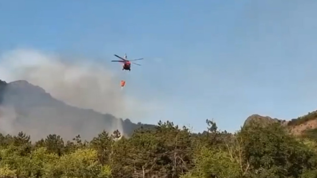 Incendiu de vegetație în județul Tulcea