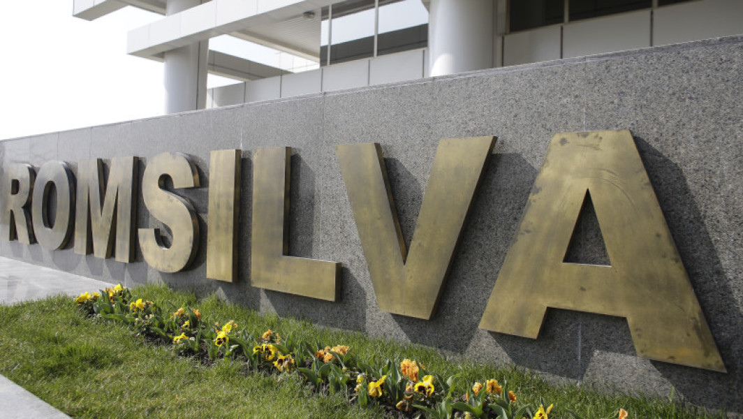 raport al corpului de control al ministerului mediului arată pierderi financiare majore la mai multe direcții silvice ale regiei naționale a pădurilor - Romsilva în perioada 2020-2024