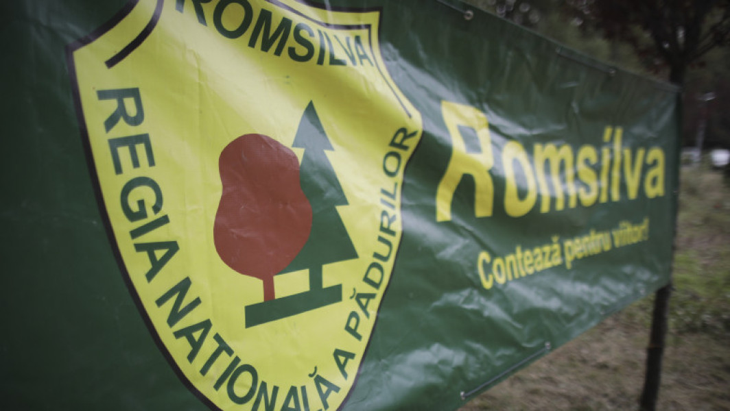 ministerul justiției: Romsilva nu poate fi reorganizată fără modificări legislative