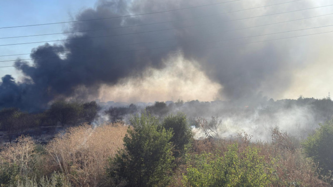 Incendiu de vegetație în Clinceni, județul Ilfov