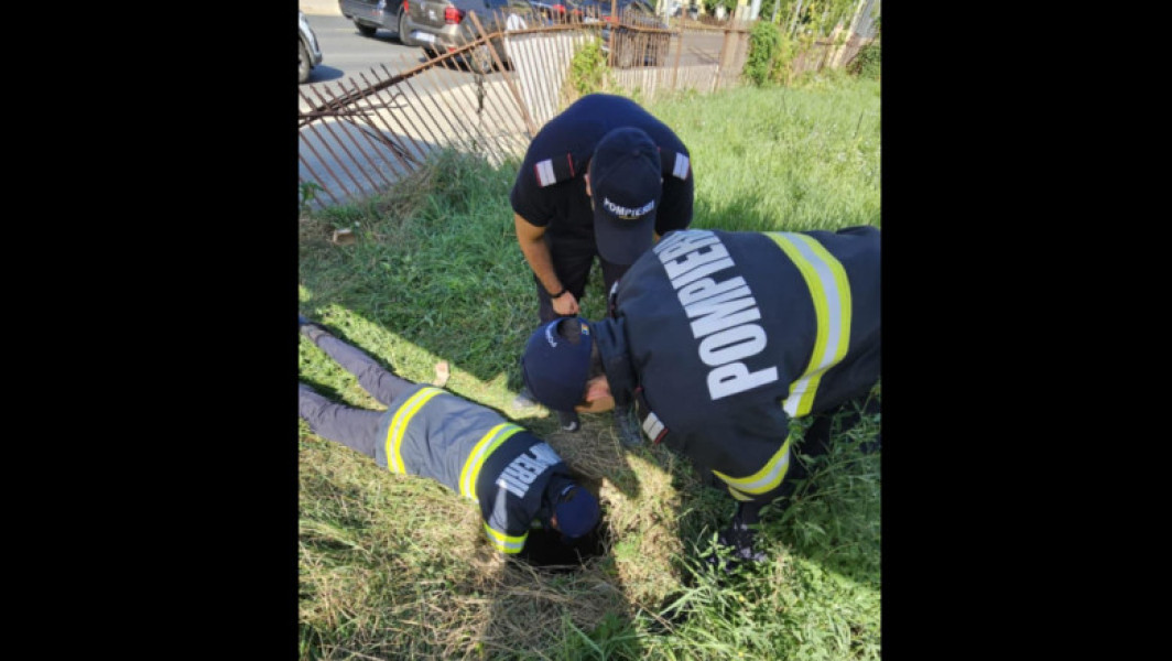 Pompierii din Iași au salvat un câine dintr-un canal adânc de patru metri