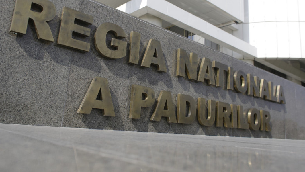 Dezbatere publică pentru alegerea directorului interimar al Romsilva
