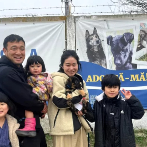 Familia japoneză din România adoptă un cățel de la ASPA Bragadiru