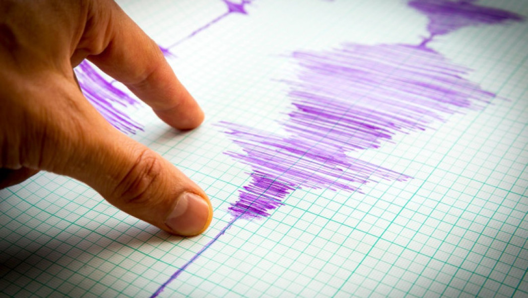 Cutremur în zona seismică Vrancea