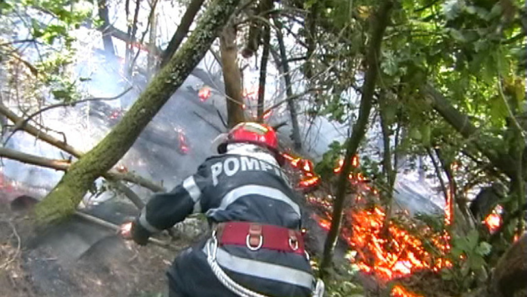 Incendiu de vegetație în județul Hunedoara, aproape de mănăstire