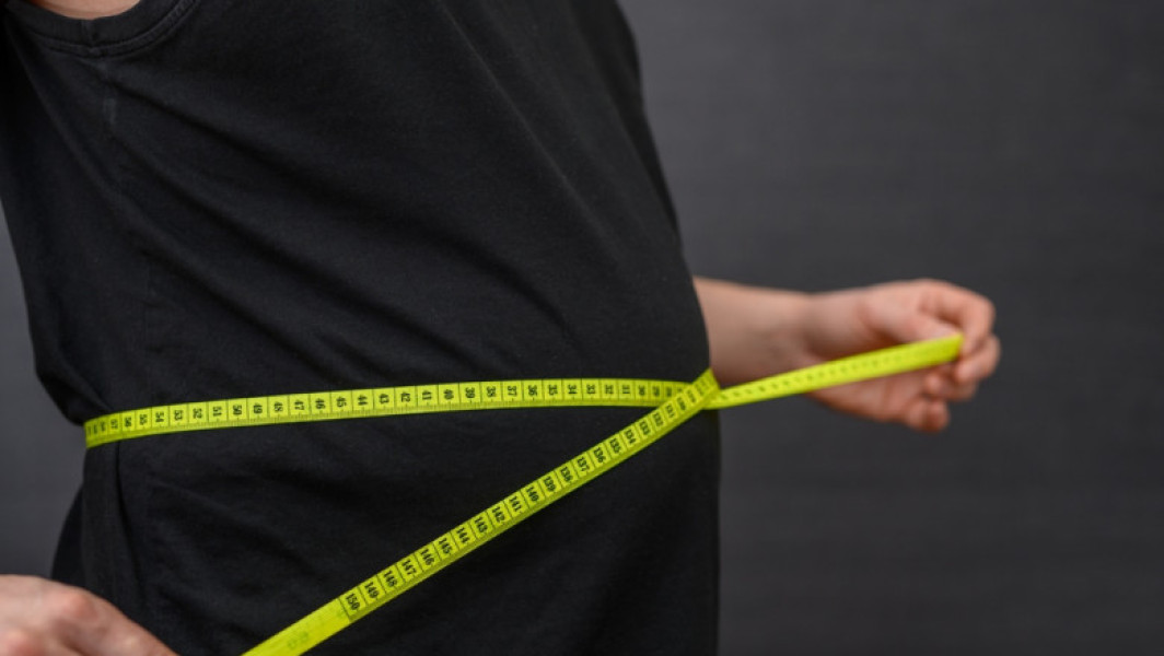 Proteină-cheie reglează modul în care celulele gestionează și stochează grăsimile