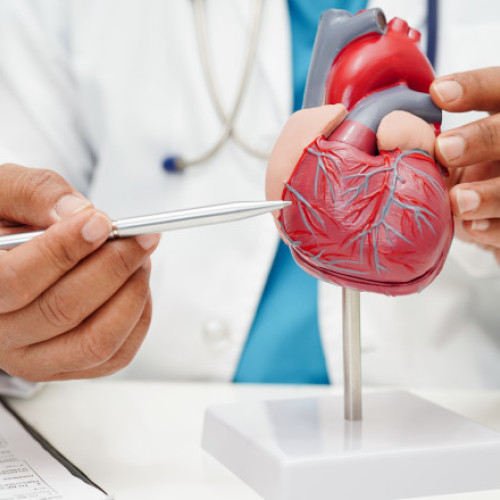 Conferința ESC 2025 la Madrid: progrese în cardiologie