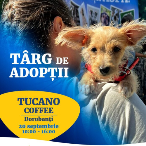 ASPA organizează târg de adopții la Tucano Coffee România – Dorobanți