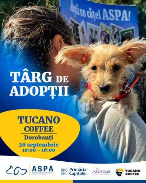 ASPA organizează târg de adopții la Tucano Coffee România – Dorobanți