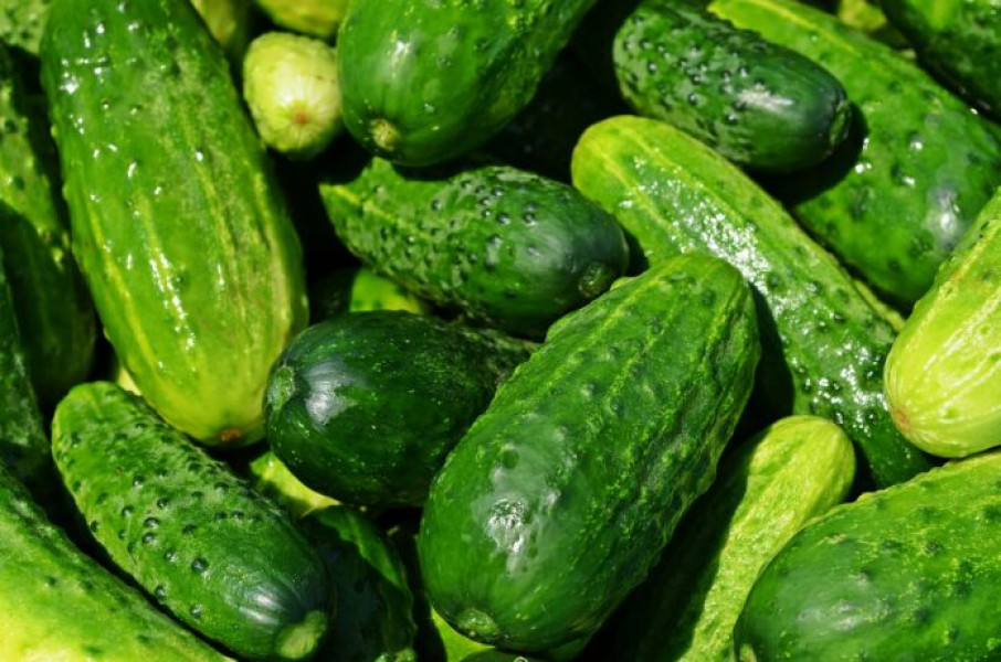 Lidl aduce în magazine legume pentru zacuscă și murături de la producători locali