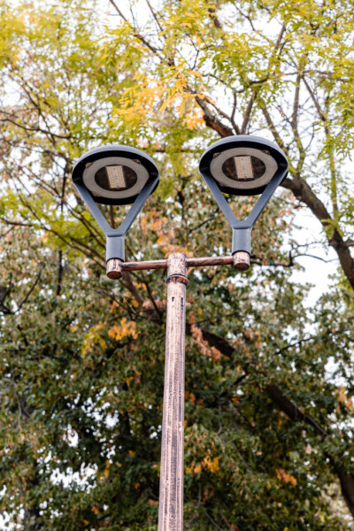 Primarul general interimar anunță modernizarea iluminatului în Parcul Herăstrău