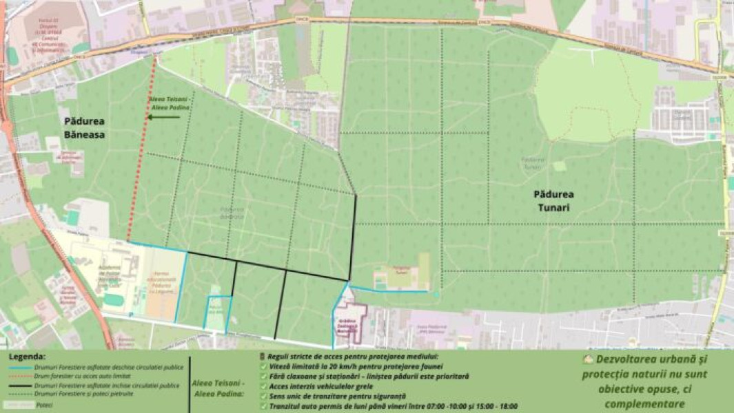 Federația Greenfield Băneasa reglementează accesul în pădurea Băneasa pentru siguranță