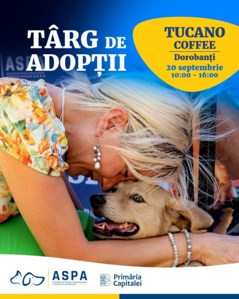 15 căței ASPA caută familii la târgul de adopții la Tucano Coffee – Dorobanți