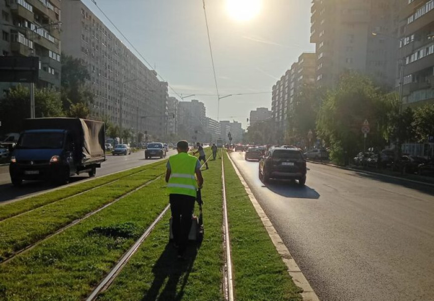 Primăria Sectorului 2: bilanțul săptămânii 8–14 septembrie – lucrări de întreținere și pregătiri pentru campania de toamnă