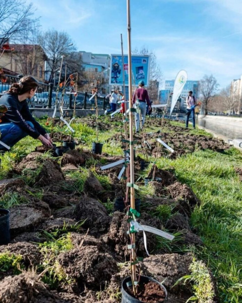 ALPAB organizează o dimineață de plantare și workshopuri în Parcul Ateneului