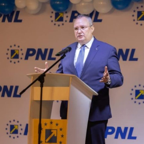 PNL a votat comasarea și liste comune cu PSD pentru alegerile europarlamentare?