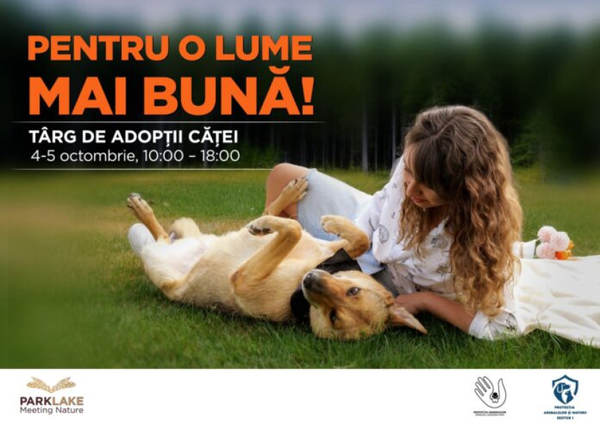 Animalele din adăposturile Ilfov caută familii iubitoare la Park Lake