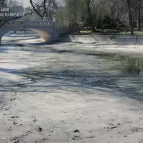 VIDEO/ Lucrări la cuva lacului din Parcul Cișmigiu, primarul Nicușor Dan ia măsuri urgente!