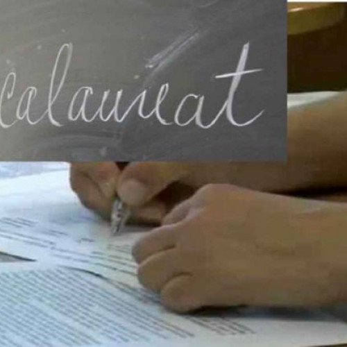 Începe simularea examenului de bacalaureat în 2024 cu proba scrisă de Limba română