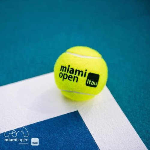 Turneul de tenis WTA 1.000 din Miami: Collins şi Rîbakina, în finală