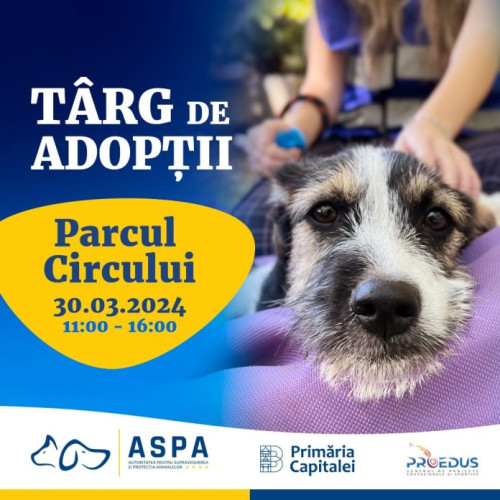 Primul târg de adopții în aer liber din acest an în Parcul Circului, organizat de Primăria București și ASPA cu ajutorul voluntarilor.