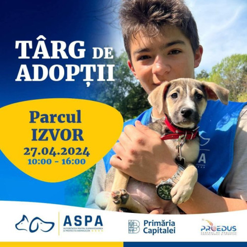 Nicușor Dan cheamă bucureștenii la adopție de câini la un târg în Parcul Izvor