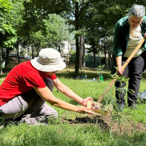 Noi copaci Sequoia plantati in Parcul Carol I