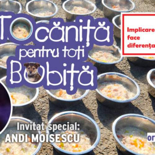 &quot;Tocănița pentru toți Bobiță&quot;, eveniment caritabil la Adăpostul Speranța