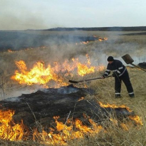 Premierul grec avertizează asupra unei veri periculoase din cauza incendiilor de vegetație